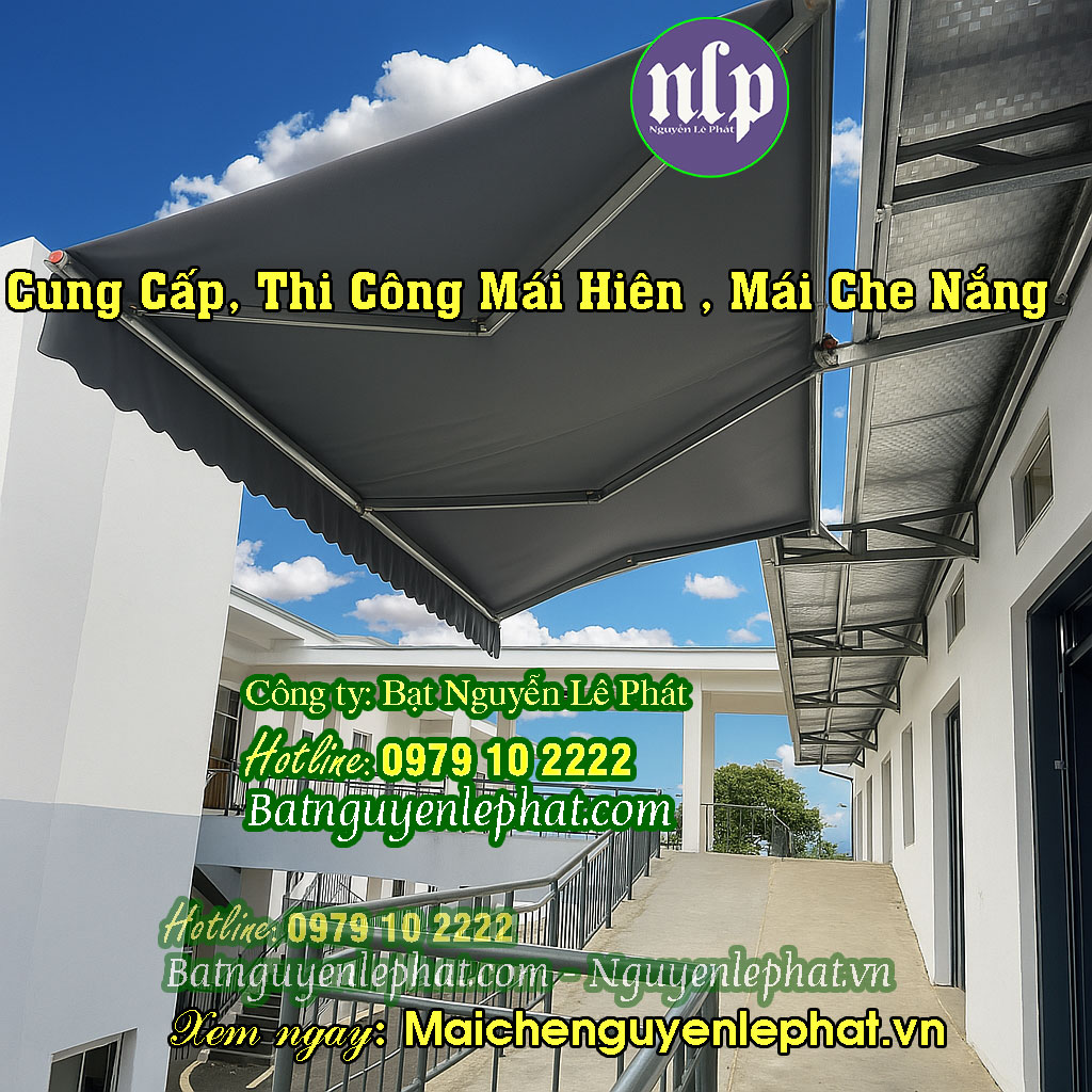 mai hien co dinh